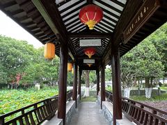-丝绸小镇荻港古村