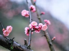 -常德桃花源景区