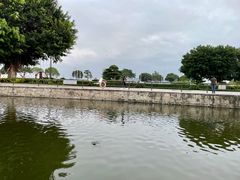 -石炮台公园