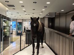 -乐天免税店(明洞店)