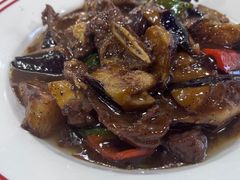 -明本湛江鸡•海鲜小厨(陈家祠店)