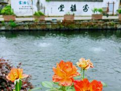 -东梓关景区村庄