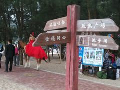 android_upload_pic-玫瑰海岸文化旅游度假区