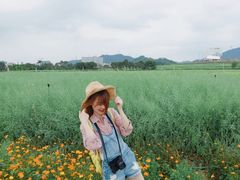 -光明小镇欢乐田园