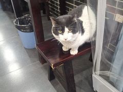 -泰宜担担面(黄泥塝总店)