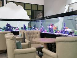 -可爱多国际儿童摄影会馆(龙泉店)