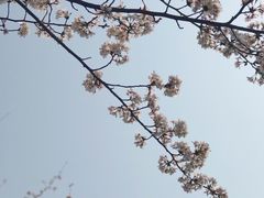 -西北湖绿化广场