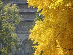 -玲珑塔公园
