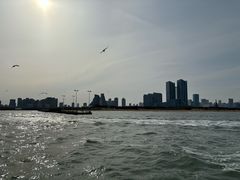 -日照世帆赛基地