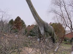 -自然谷恐龙园