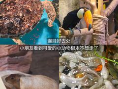-正佳雨林生态植物园