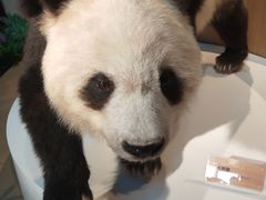 -陕西自然博物馆