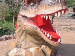 -辛玛王国游乐园