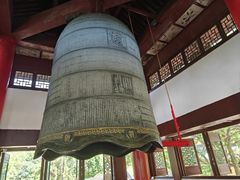 -家烧面馆【南山路知名经典面食】