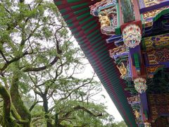 -宝莲禅寺