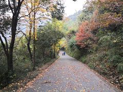 -穹窿山景区