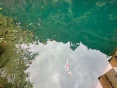 -大奇山国家森林公园