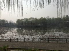 -尚庄度假村·庭台树下·户外烧烤·团建CS·轰趴营地(上庄水库店)