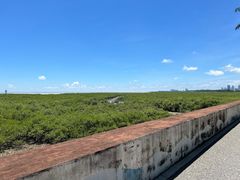 -北海金海湾红树林生态旅游区