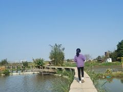 -八仔大富楼·河鲜(西江店)