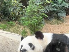 -香港海洋公园