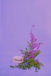 点击看大图 -onlygirl摄影美学馆高端定制(江滩店)