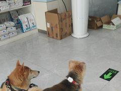 -中农国际动物医院24小时·猫科·骨科·急重症中心