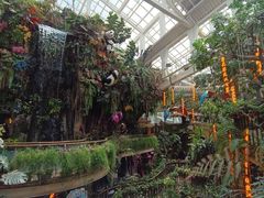 -正佳雨林生态植物园