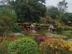 -东莞植物园