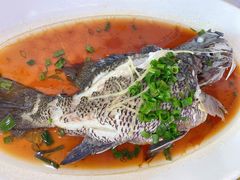 清蒸活海鱼-锐记美食店·现捞海鲜(闸坡店)
