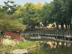 -映月湖公园