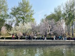 -元大都城垣遗址公园