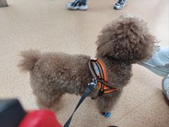 -宠颐生中康贝怡动物医院