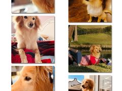 -SFC上影百联影城(川沙IMAX店)