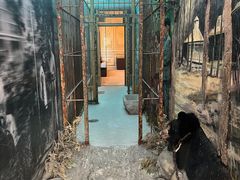 -北京动物园-畅观楼