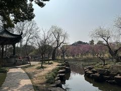 -无锡梅园公园