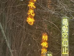-长鹿旅游休博园