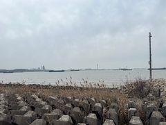 -上海滨江森林公园