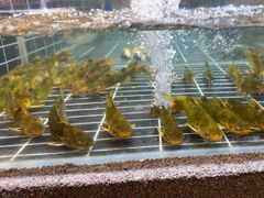 -U你·天然调味(南湖总店)