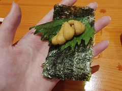 -月龍吟(朝龙汇店)
