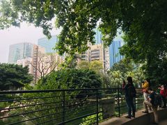 -九龙公园