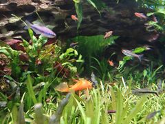 -太平洋海底世界