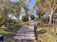 -牛岗山公园