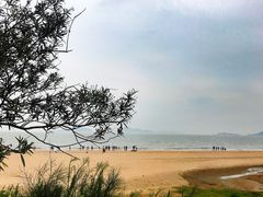 -普陀山风景名胜区-千步大沙