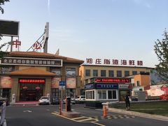 -郑庄脂渣海鲜楼(九水路店)