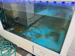 -真情鲍鱼海鲜汤