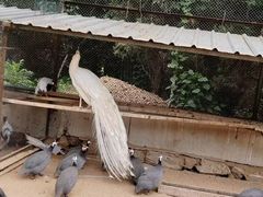 -秦皇岛野生动物园