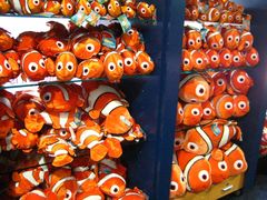 -悉尼海洋生物水族馆