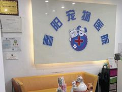 -暖阳宠物医院·犬猫康复中心·骨科