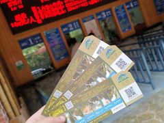 -将军关探险漂流